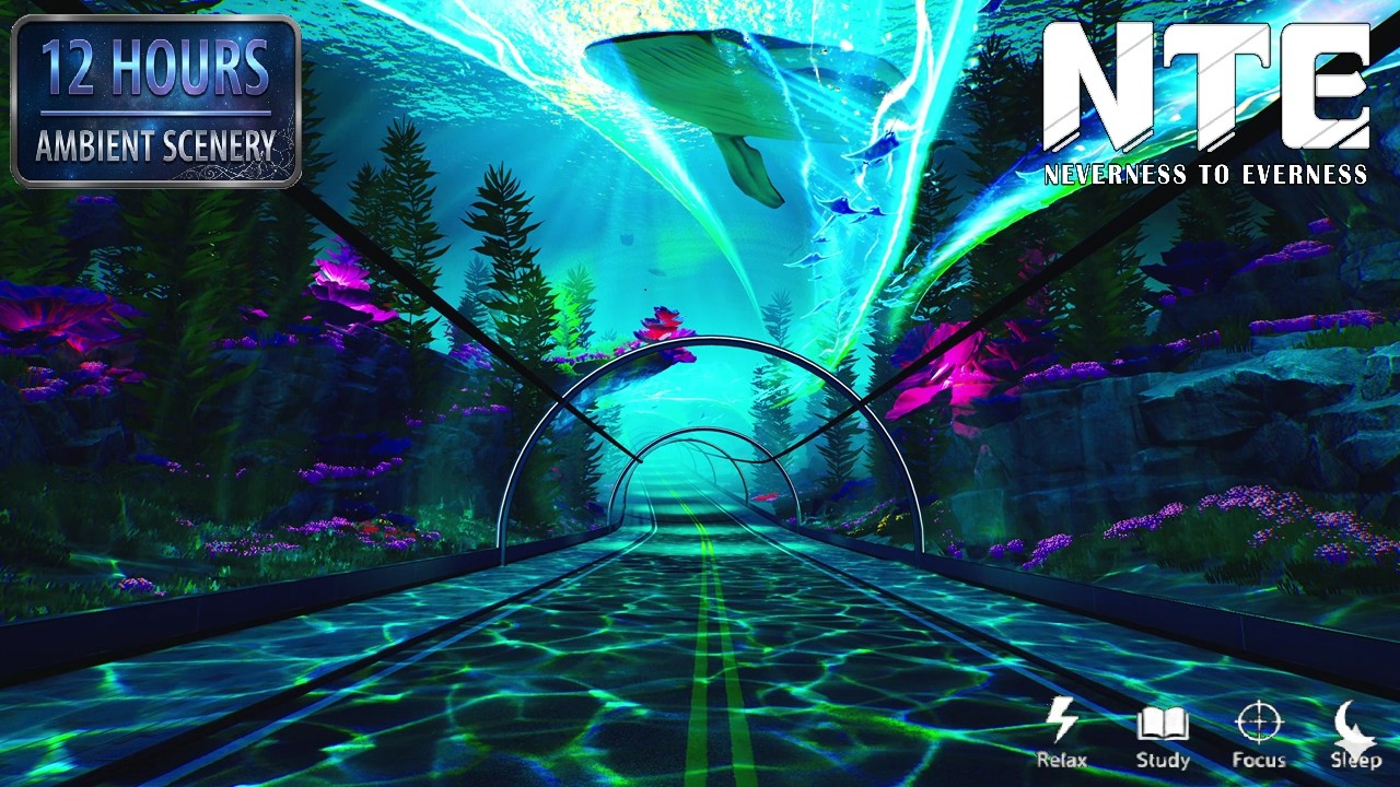 Deep Sleep & Study | Cozy Underwater Tunnel Road | 4K 60FPS (Neverness to Everest) — cozy ambience video thumbnail